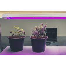 Our top pick for grow lights is the roleadro led grow light ( view at amazon) due to its unmatched waveband emission. Smart Electrician 44 White Integrated Led Grow Light At Menards