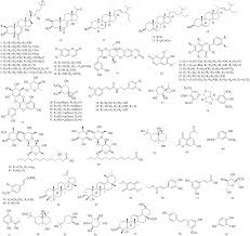 Image result for Paralepistemon shirensis