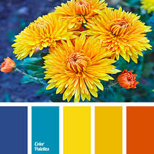 Check spelling or type a new query. Color Palette 3932 Color Palette Ideas Color Palette Yellow Red Colour Palette Color Palette Bright