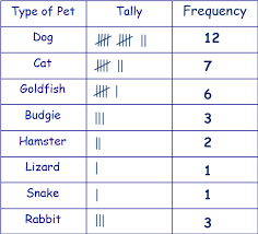 anoosha kankarias blog tally and frequency charts