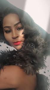 Groomer recommendations for small animals