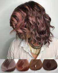 Reddit Fancyfollicles Chocolate Mauve Possibly One Of The Coolest Colors I Ve Done Hair Styles Hair Highlights Hair Beauty