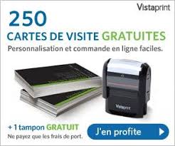 Offre Gratuite Vistaprint 250 Cartes De Visite 1 Tampon Encreur Hors Frais De Port Maxi Bons Plans Carte De Visite Carte De Visite Gratuite Tampon