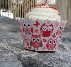 Past studies have shown that whole foods 'serve as a concentrated source of components with beneficial health benefits', whereas, processed foods 'negatively affect the bioactive. Cupcake Wrappers Baby Shower And Gender Reveal Adjustable Set Of 12 Pink Owls Amazon Com Grocery Gourmet Food