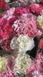 Maybe you would like to learn more about one of these? White Carnations Carnation Wedding Flowers White Spray Roses Beautiful Flowers Garden