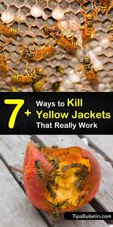 Pin On Best Of Tips Bulletin Cleaning Household Hacks Diy Crafts Natural Health Plants Gardening