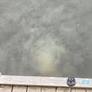 Sewage Discharge Incidents Prompt Public Advisories in Stockholm and Malmö