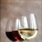 Introduction au monde des vins event image