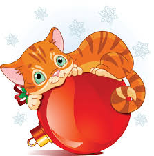Orange Holiday Cat Mit Bildern Kinderbilder Katzen Kinder Bilder