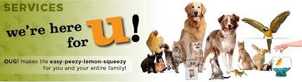 Marion street, oak park, il 60301 phone: Oak Park Pet Care Services Out U Go Oak Park