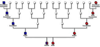 X Marks The Spot Dnaexplained Genetic Genealogy