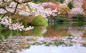Japanese style garden news parcs. Japanese Style Gardens Zones