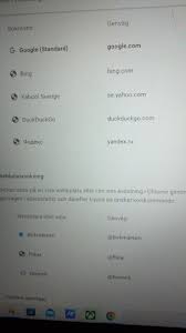 Why did this search engine named yandex.ru come up on my search engine list  : rgoogle