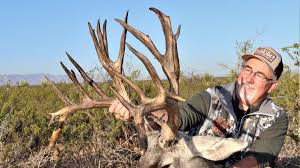Young mule deer buck odocoileus hemionus with velvet antlers in the wild of boreal forest taiga of the yukon. Is This The New Texas State Record Mule Deer Meateater Hunting