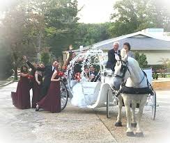 Wedding At Farrington Lake Estate In East Brunswick Nj With Our Cinderella Carriage The Whole Wedding Party Cinderella Carriage Horse Carriage Special Events