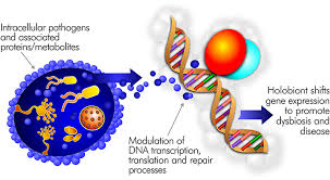 Image result for Intracellular Bacteria