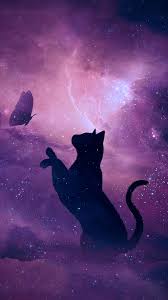 Wallpapers Black Cat Silhouette Cat Art Violet Black Cat Anime Cat Wallpaper Cute Cat Wallpaper
