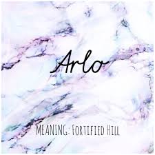 Arlo Names Arlo Babynames Names With Meaning Baby Names And Meanings Baby Names