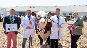 Champion livestock scoop top awards at the Royal Bath & West Show