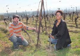 53 boulevard du roi rene code postal : Wine Tasting Vineyards In France Philippe Brand Alsace