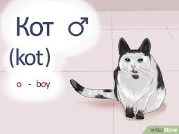 Die katze streicht auf den straßen herum, auf der suche nach einer anderen katze. How To Say Cat In Russian 5 Steps With Pictures Wikihow