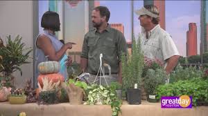 We did not find results for: Great Day S Gardening Show Explores What To Plant Right Now Khou Com