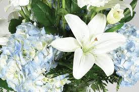 Maybe you would like to learn more about one of these? Contact Us Parks Funeral Home Summerville Sc Funeral Home And Cremation