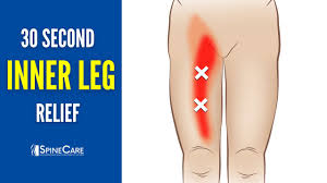 Image result for Leg Pain