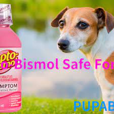 This will help you tremendously with accurate dosing vs. Is Pepto Bismol Safe For Dogs Hubpages