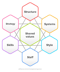 Reliance finance limited, dhaka, bangladesh. 7s Model Example Explanation Mckinsey 7s Model Worked Out Management Gurus