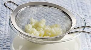 Le Kefir Boisson Aux 1001 Vertus Bio A La Une