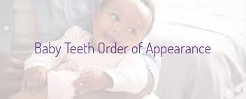 Jul 28, 2020 · usually teething begins around 6 to 10 months of age and lasts until baby is about 25 to 33 months. Baby Tooth Eruption Stages Fox Kids Dentistry
