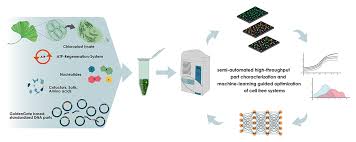 Check spelling or type a new query. Establishing Cell Free Systems From Chloroplasts