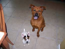 Sandra Scheer-Martinez