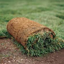 Check spelling or type a new query. How To Lay Sod In 7 Easy Steps This Old House