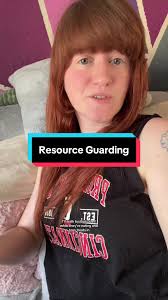 Carter Turner Dog Trainer