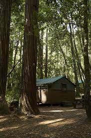 Maybe you would like to learn more about one of these? Big Basin Tent Cabins Bewertungen Fotos Boulder Creek Kalifornien Tripadvisor