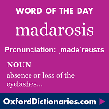 Madarosis Definition Of Madarosis In English From The Oxford Dictionary Words Writing Words Unusual Words