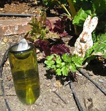 Plant a few of these throughout the garden. How To Keep Those Uninvited Cats Out Of Your Garden It S Easy Cat Faeries Blog