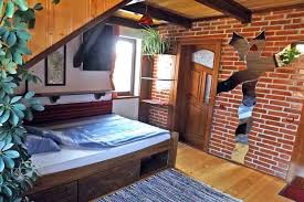 Cabană românia de la 30 lei/cameră. Cazare Marginimea Sibiului Cabane De Inchiriat La Munte