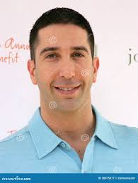 David Schwimmer fotografia editorial. Obraz złożonej z angeles