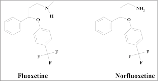 Pdf The Distribution Of Fluoxetine And Norfluoxetine In Postmortem Fluids And Tissues Semantic Scholar