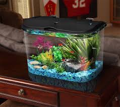Big Fish Tanks And Aquariums Kit Led Light Freshwater Tank Decor 5 Gallon Filter Big Fish Tanks Betta Fish Tank Fish Tank Themes
