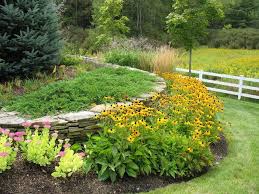 Black Eyed Susan Seeds Landscape Traditional With Border Brown Eyed Susans Flower Bed Gable Dor Small Garden Ideas Full Sun Full Sun Garden Full Sun Perennials