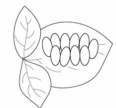 Hundreds of free spring coloring pages that will keep children busy for hours. Butterfly Life Cycle Coloring Pages For Children Coloring Pages Coloring Home