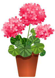469 46 roses bunch bouquet. Yandeks Fotki Flower Clipart Flower Art Flower Pots