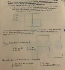 Punnett square practice worksheet with answers. Solved If Given A Simple Genetics Problem Such As The One Chegg Com