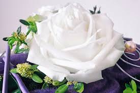Check spelling or type a new query. White Rose Flower Bouquet Free Images Download Titania Foto