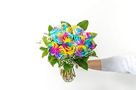 The lid of the round box was placed underneath it, and is not actually meant to fit over the flowers, as we found out the hard way. Amazon Com From You Flowers One Dozen Wild Rainbow Roses Free Vase Included Grocery Gourmet Food
