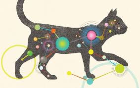 If only cats really had nine lives! The Inner Life Of Cats Scientific American